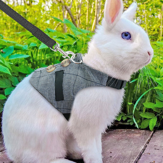 Rabbit/Cat/Dog leash Gentleman Suit