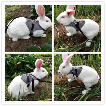 Rabbit/Cat/Dog leash Gentleman Suit