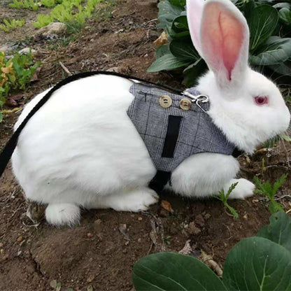 Rabbit/Cat/Dog leash Gentleman Suit