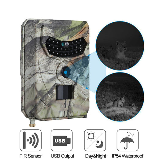 Night Vision Trail Wildlife Camera 20MP IP65 Wireless Photo Capture