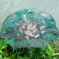 Strengthened 4-20 Holes Automatic Fishing Net Shrimp Cage Nylon Foldable Fish Trap Cast Net Cast Fold Crab Trap Fishing Network