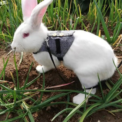 Rabbit/Cat/Dog leash Gentleman Suit