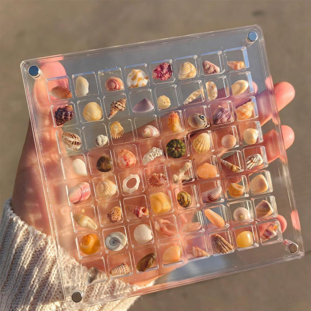 36 64 Grids Seashell Display Box Acrylic Magnetic Seashell Display Case Organizer Box Jewelry Storage Box Stackable Small Craft Compartment Box