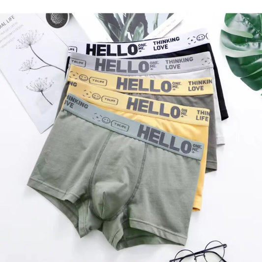 5pcs Mens Underwear Male Cotton Boxers