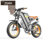 New Electric Bicycle With 20 Inch Large Tires And Seven Stage Transmission Assistance